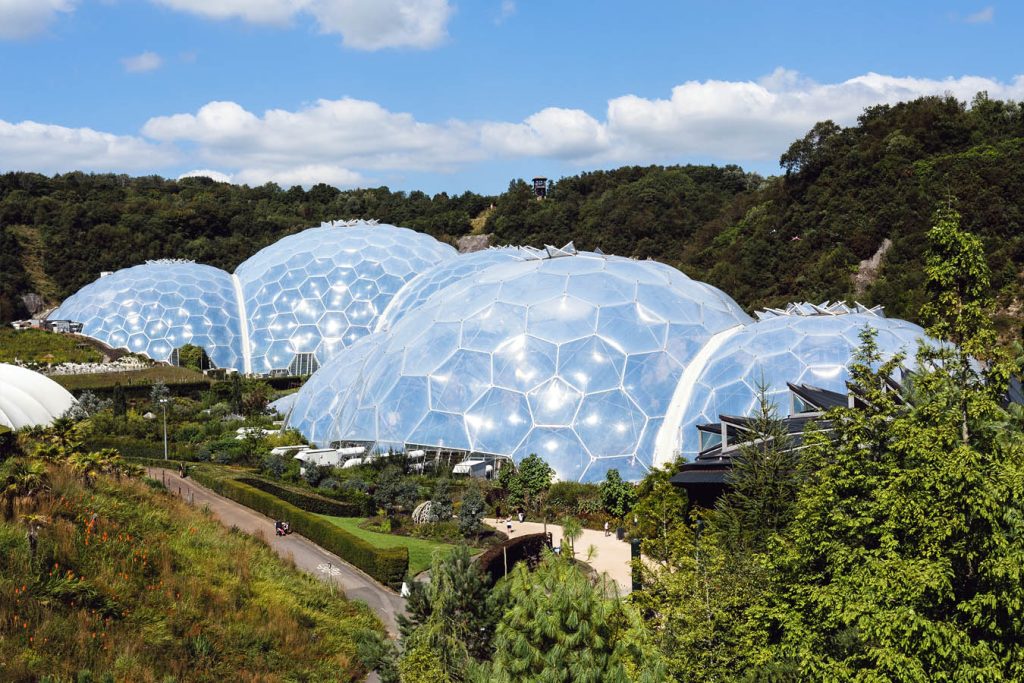 Biomimicry in Architecture