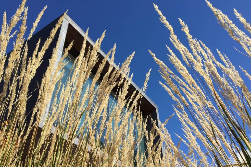 What is Landscape Architecture