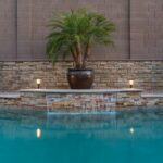 Landscaping Water - green potted plant on brown concrete floor