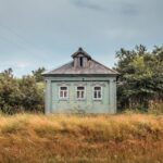 Wooden Buildings - a small blue house in a field