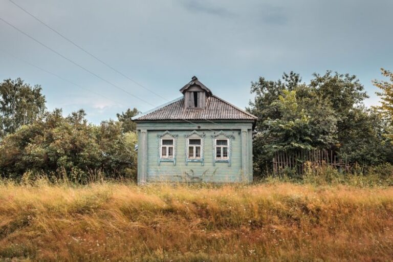 Wooden Buildings - a small blue house in a field