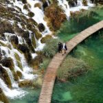 Green Bridges - Person in Black Jacket Walking on Brown Wooden Pathway Beside River