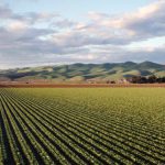 Agriculture - Photo of Green Field Near Mountains