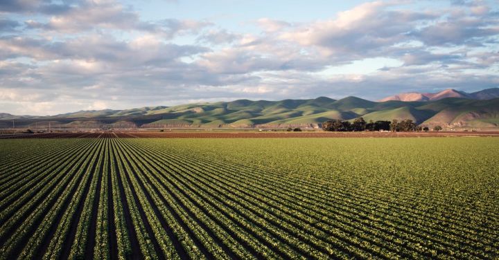 Agriculture - Photo of Green Field Near Mountains